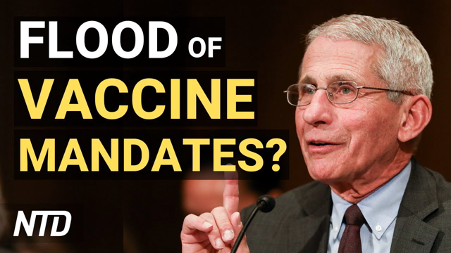 Fauci Expects Flood of Vaccine Mandates After FDA Approval; Top Cuomo Aide Resigns