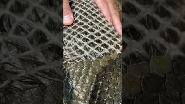 Helping a giant anaconda shed 🐍