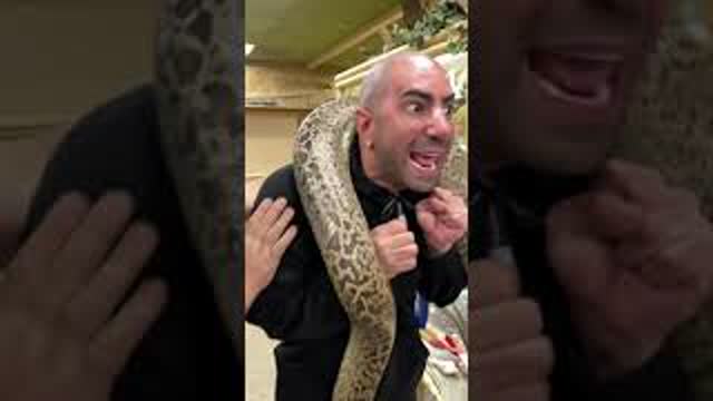 Fousey apparently doesn’t like snakes 🤷‍♂️