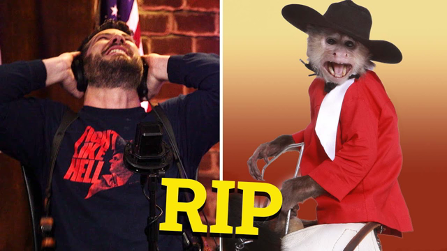 RIP Whiplash the Monkey: He Hung In Until the End | Louder With Crowder
