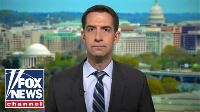 Tom Cotton torches Dem spending: 'Everyone gets free lunch and a pony ride'