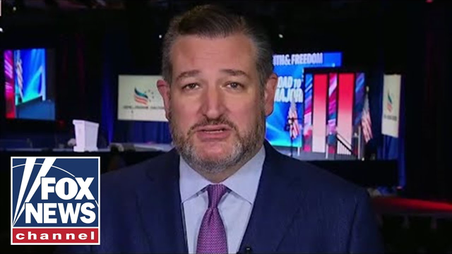 Kamala Harris avoiding border trip like 'comedy show,' Ted Cruz sounds off