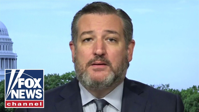 Ted Cruz: Biden, Harris 'don't have a solution' to border crisis