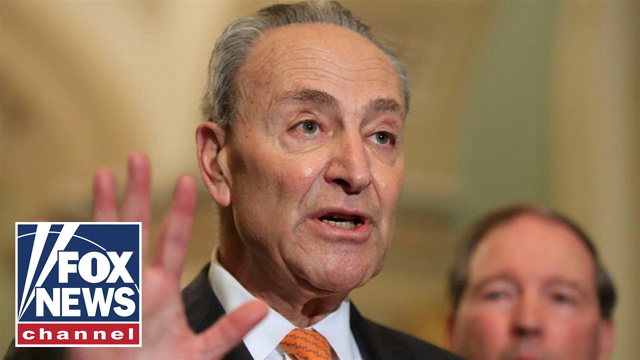 Sen. Schumer speaks to press