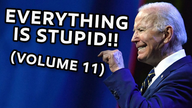EVERYTHING IS STUPID!! (VOLUME 11)