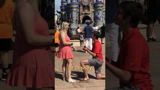 Tucker & Tim ROAST Disney Adults 🤣