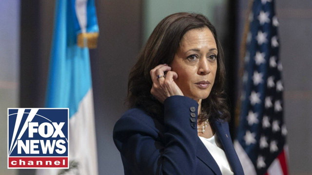 Democrats concerned Kamala Harris can't beat GOP nominee in 2024: report