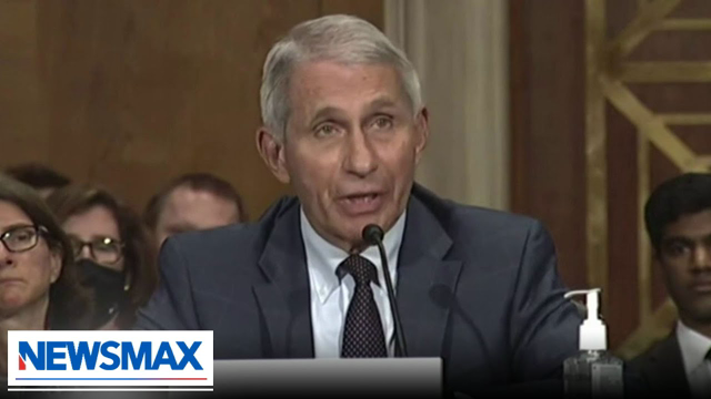 Fitton: Fauci did not deny gain-of-function research | American Agenda