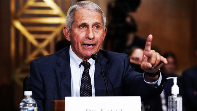 Fauci Claims It's TOO SOON  To Consider Christmas Gatherings