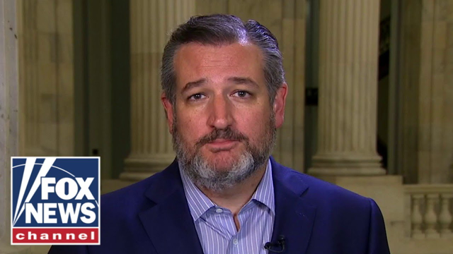 Ted Cruz: There is no decision in your life the Dems will not try to control
