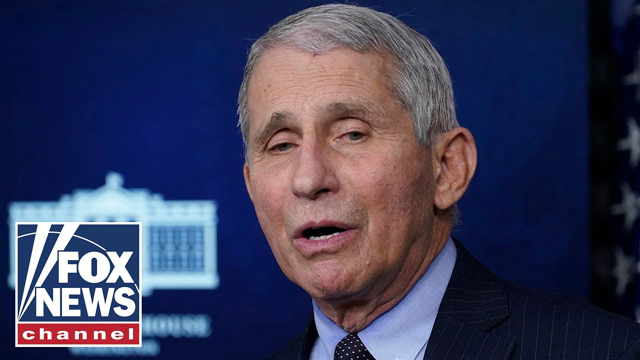 Blackburn rips Fauci, Big Tech and media for silencing Wuhan lab theory