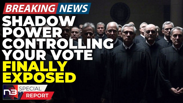 🚨BREAKING: The Shadowy Group Newt Gingrich Just Exposed Has Democrats Running For Cover — Here's Why