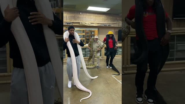 What you gonna do when you see us with all these snakes 😂