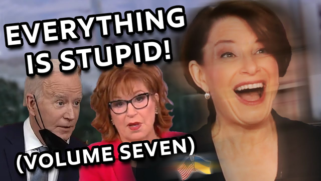 EVERYTHING IS STUPID!! (VOLUME SEVEN)