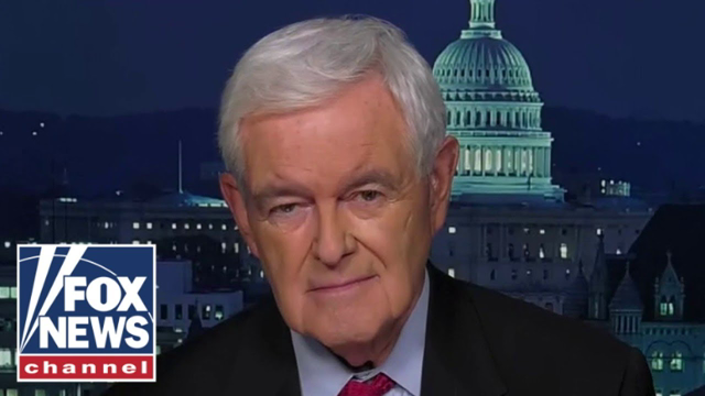 Newt Gingrich: The totalitarian left is playing with fire