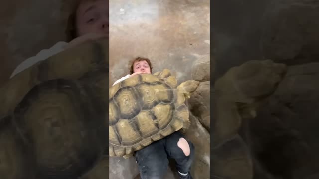 He couldn’t handle a Baby Tortoise😅