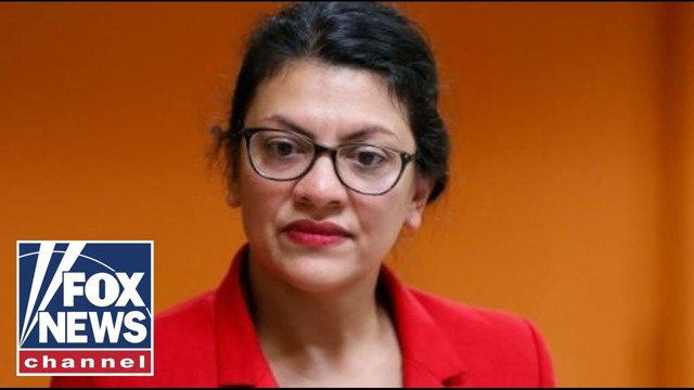 Scalise slams Rashida Tlaib's 'disturbing' comments on ICE, CBP