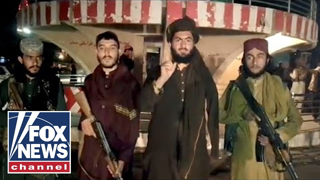 Pentagon now in communication with Taliban commanders