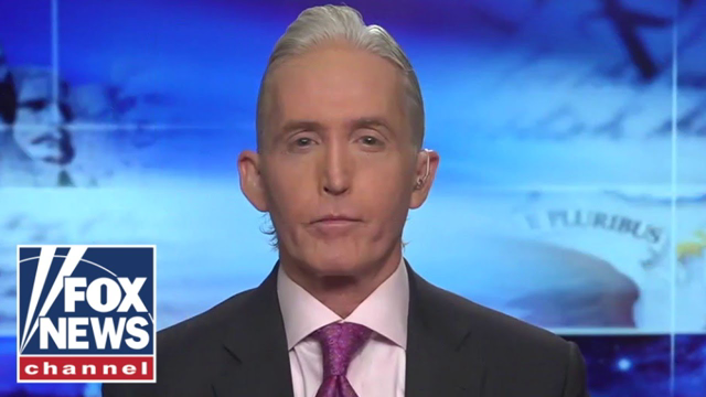 Trey Gowdy: Will of the people never translates into legislative action