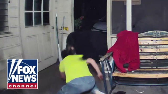 Florida man fights off bear to save dog