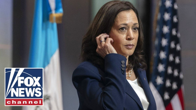 Ex-Kamala Harris aide gives interesting excuse for immigration interview