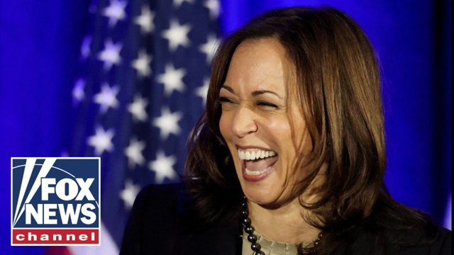 This is Kamala Harris' biggest detriment: Failla