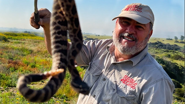 Craziest Day Of Snake Hunting Ever! (Rattlesnakes, Kingsnakes and More!)