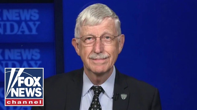 NIH director: Delta variant is a 'different virus,' could hit reset button