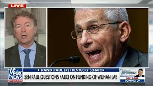 Dr. Paul Joins Bill Hemmer to Discusses Exchange with Dr. Fauci - May 12, 2021