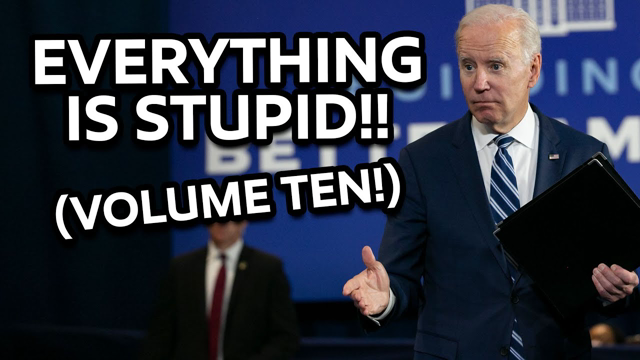 EVERYTHING IS STUPID!! (VOLUME TEN)