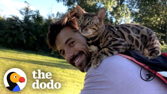 Cat Insists On Jumping Onto Her Dad's Shoulders For Bike Rides | The Dodo Soulmates