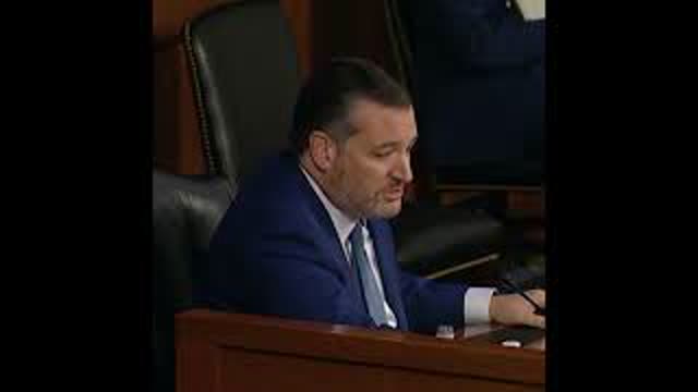 Ted Cruz Takes on Lib Senator AND Committee Chairman Singlehandedly in Biased Judiciary Hearing