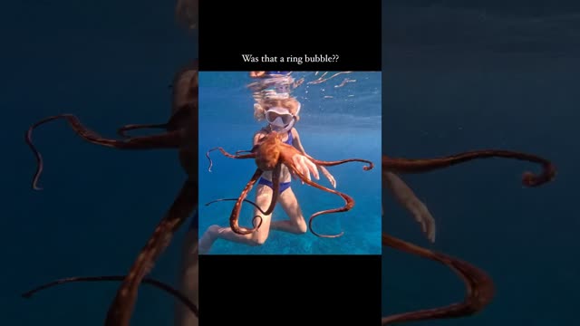 THIS HAPPENED IN THE OCEAN TODAY!! 🤯🐙😍 Raw video no music.