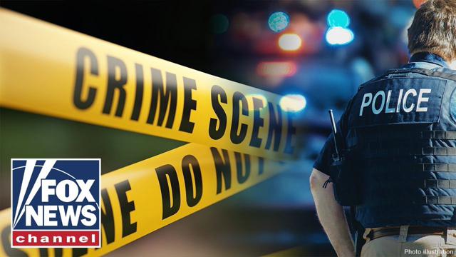 Smash-and-grab robbery hits Chicago business in broad daylight