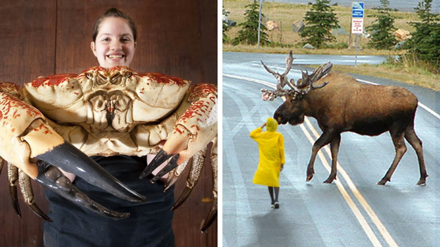 13 Biggest Creatures Ever Captured