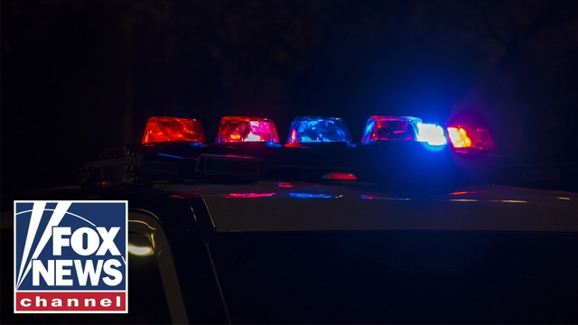 Vehicle plows into Wisconsin holiday parade: report