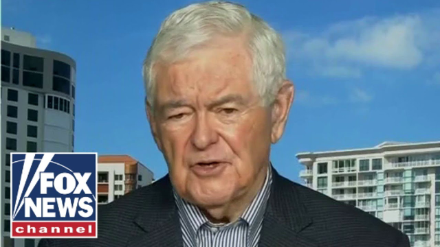 Newt Gingrich: Democrats are absolutely fixed on their radical wing