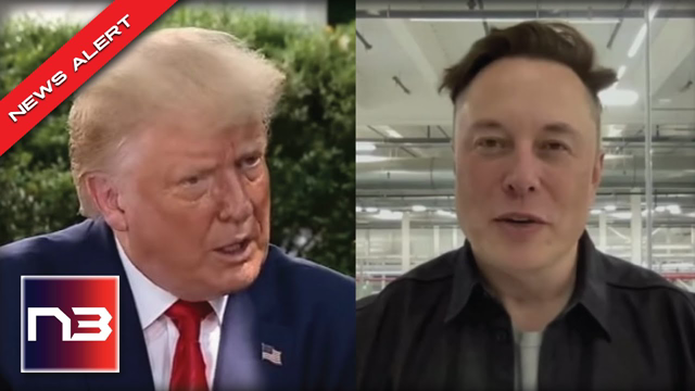 SPEEDING LOCOMOTIVE! Elon Musk Moving Fast, Could He Bring Trump Back to Twitter?