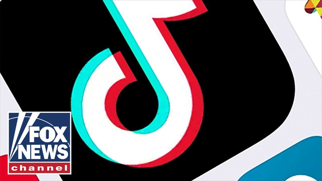 Amazon Alexa allegedly told child to try dangerous TikTok trend