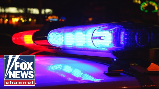 The left defunds the police in this sinister way: Fmr. Detroit police chief