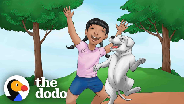 Man Writes A Children’s Book for His Perfect Pittie | The Dodo Pittie Nation