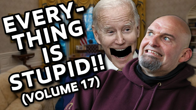 EVERYTHING IS STUPID!! (VOLUME 17)