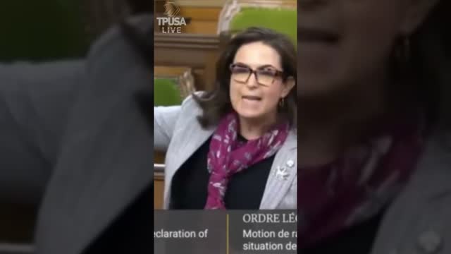LIBERAL CANADIAN REP. IS EMOTIONALLY TRIGGERED BY “HONK HONK”