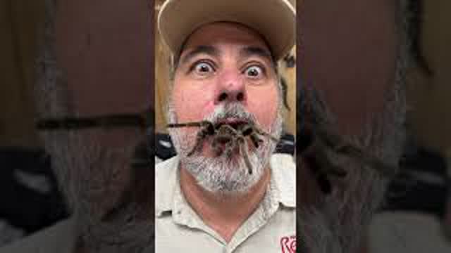 🕷 How Did This Tarantula Get In My Mouth! 😳