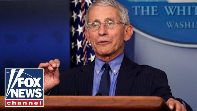 Fauci 'obsessed' with himself, not with solutions for the country: Tammy Bruce