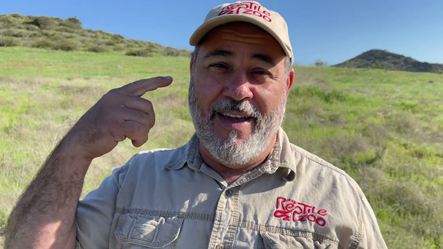 Best Day of Finding Rattle Snakes Ever!