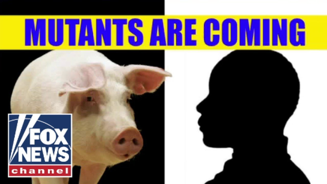 China reportedly funding China funding human-animal hybrids