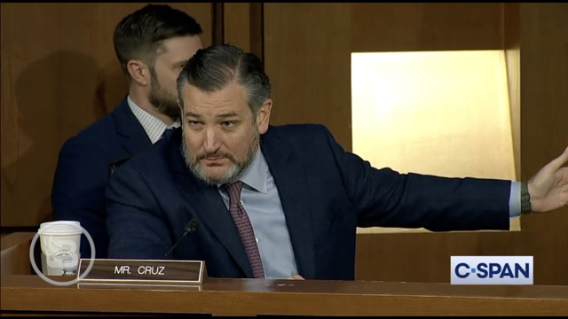 Ted Cruz STUNS When He Presses FBI On Participating In January 6