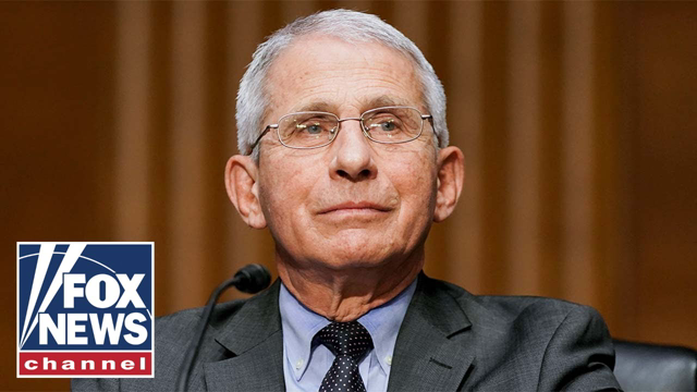 'Appalling' for Fauci to follow Cuomo in profiting off pandemic: Concha