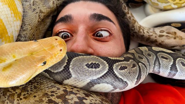 Face your fears, Snake Pit! 🐍 🤣
